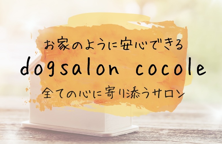 安心できるお家のようなdogsalon cocole｜名古屋市中川区のトリミングサロン