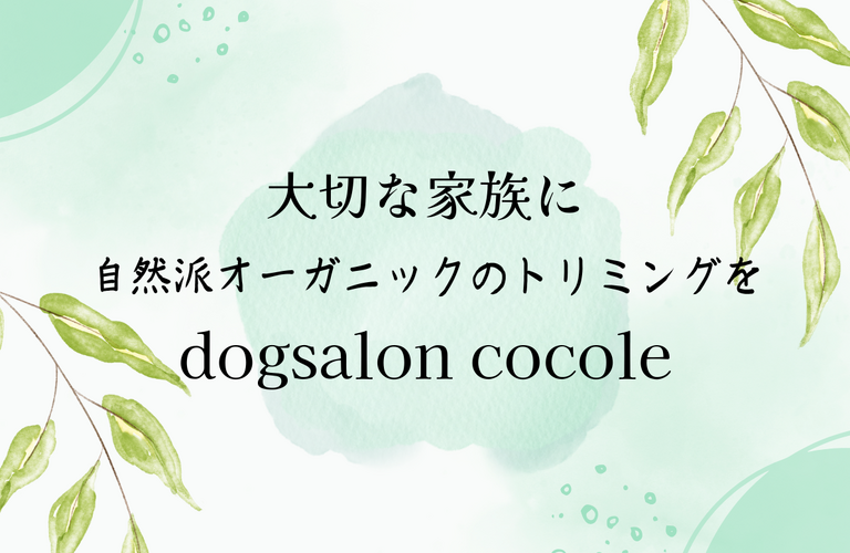 自然派オーガニックのトリミングサロン｜名古屋市中川区のdogsalon cocole