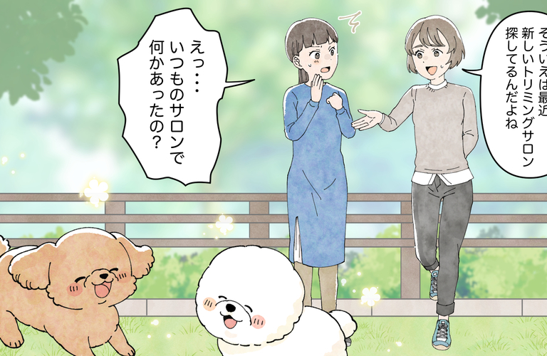 子犬のファーストトリミングなら｜名古屋市中川区トリミングサロンdogsalon　cocole